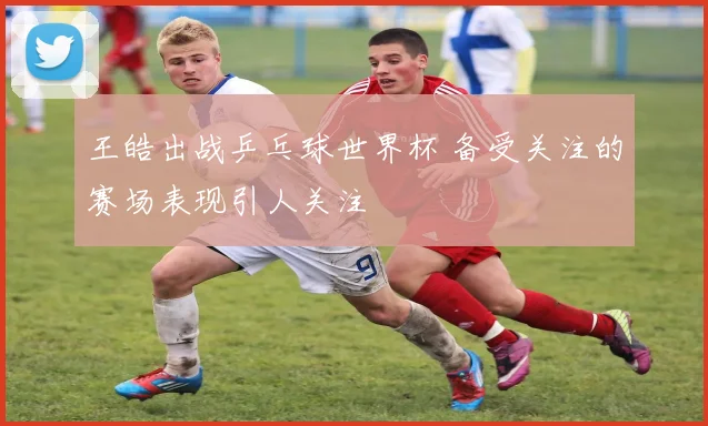 王皓出战乒乓球世界杯 备受关注的赛场表现引人关注